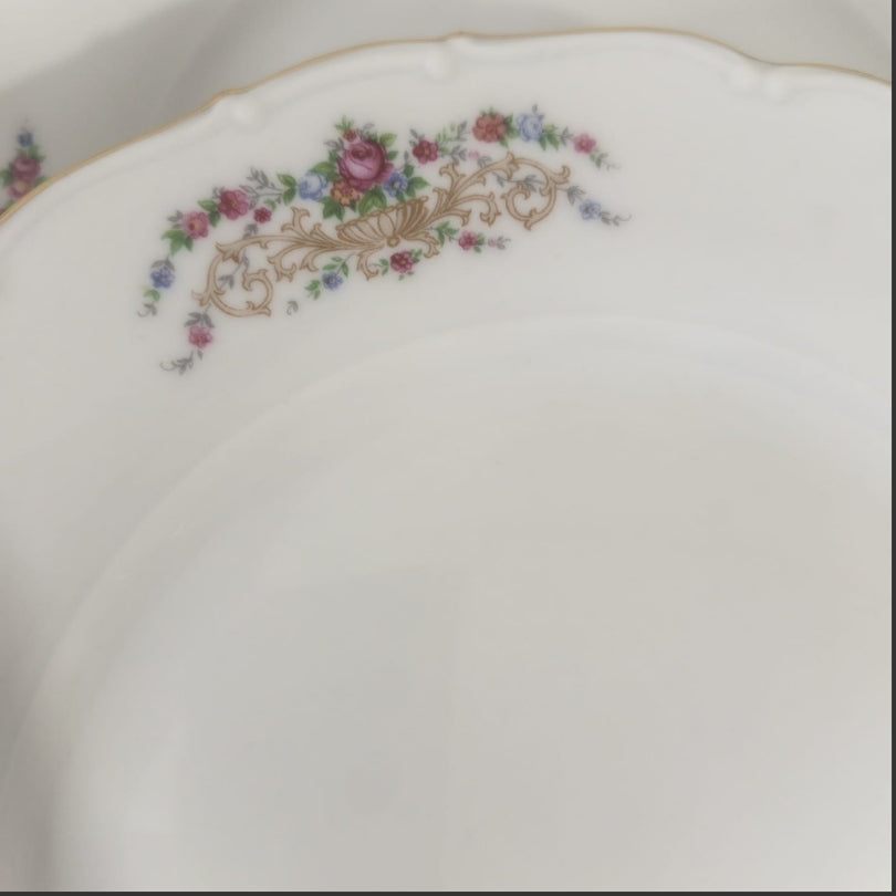 Set of 06 Dinner Plates