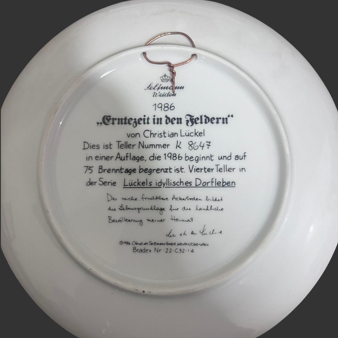 Wall Hanging Plate