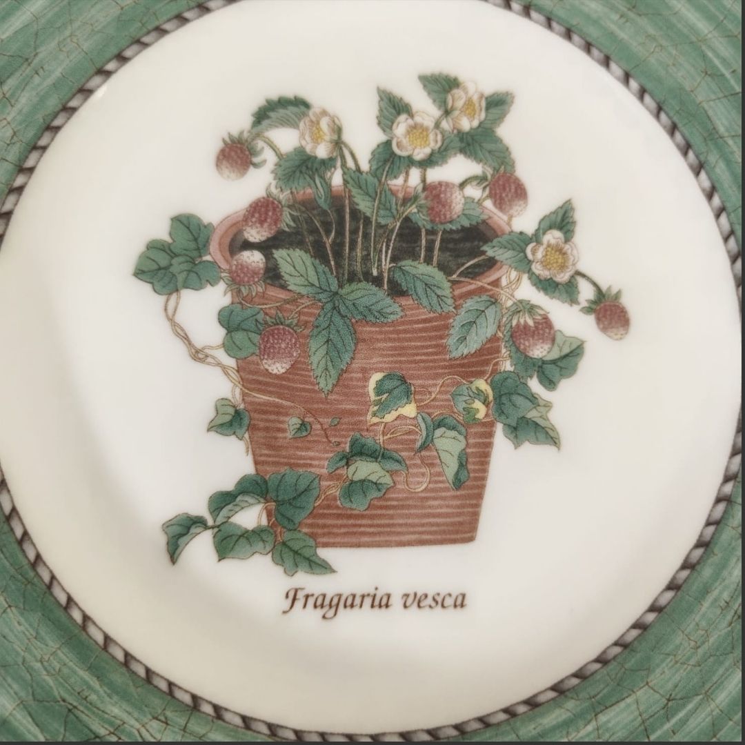 Wall Hanging Plate