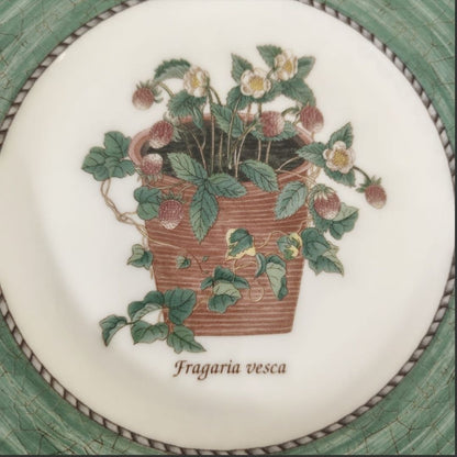 Wall Hanging Plate