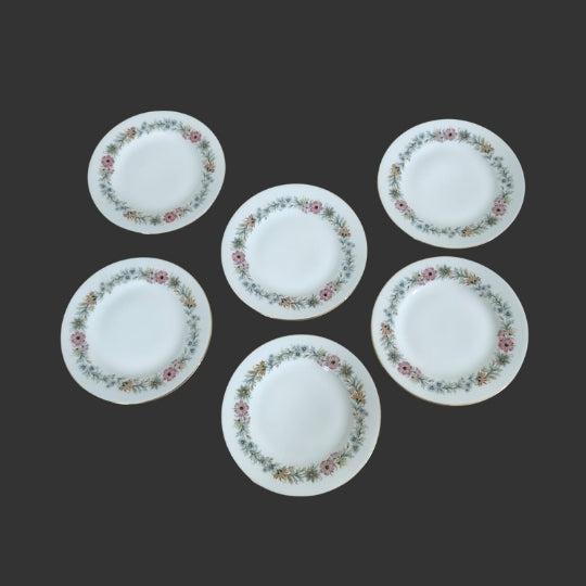 Set of 06 quarter plate