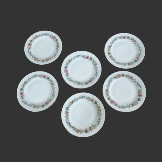 Set of 06 quarter plate