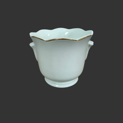 Pot