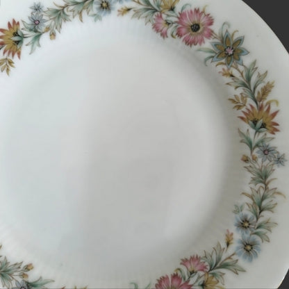 Set of 06 quarter plate