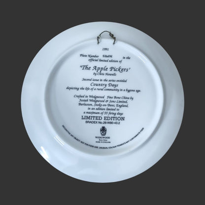 Wall Hanging Plate