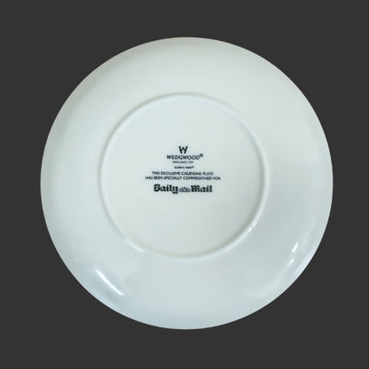 Wall Hanging Plate