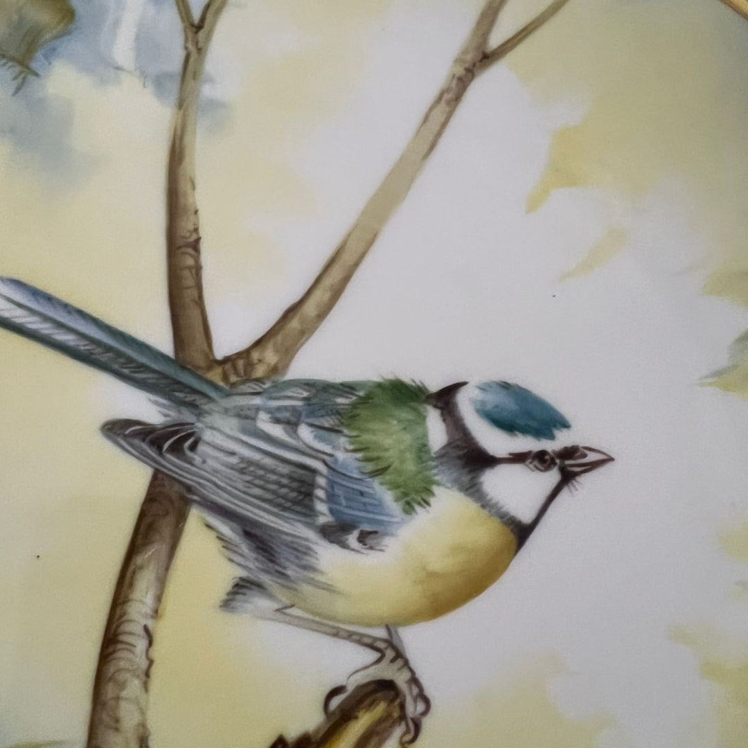 Wall Hanging Plate