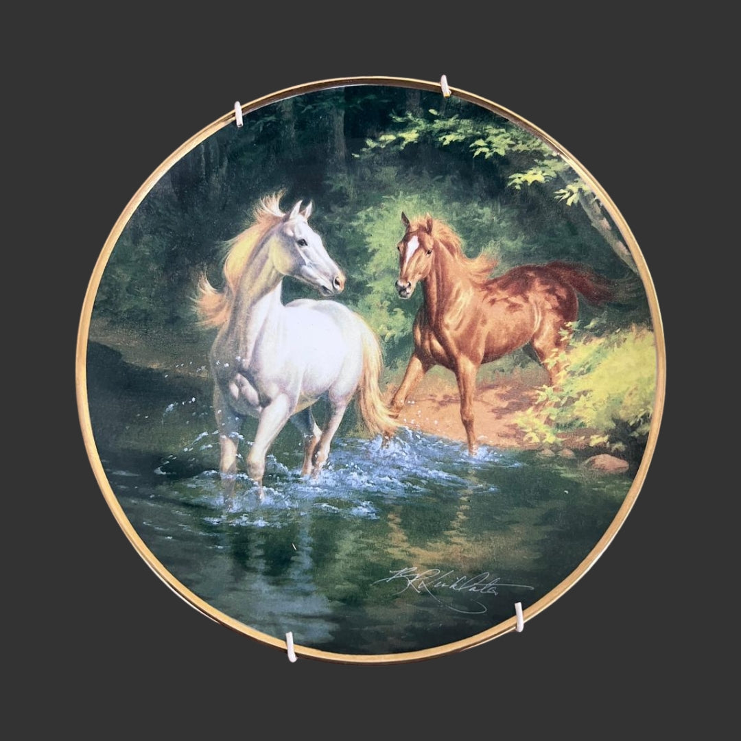 Wall Hanging Plate