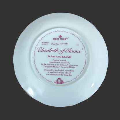 Wall Hanging Plate