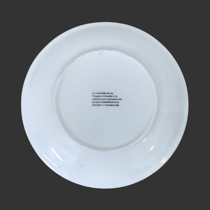 Wall Hanging Plate