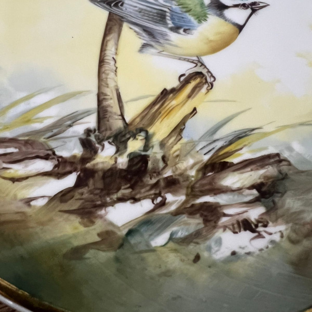 Wall Hanging Plate