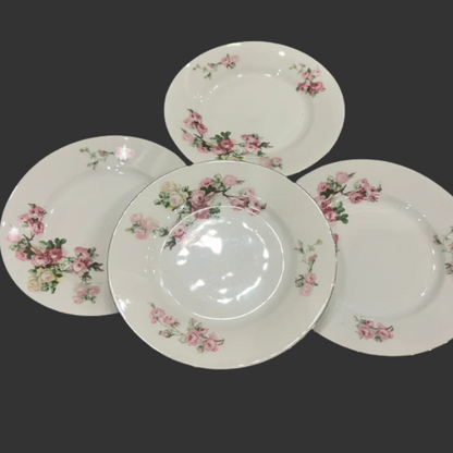 Set of four ceramic plates with floral designs on a dark background