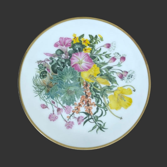 Wall Hanging Plate