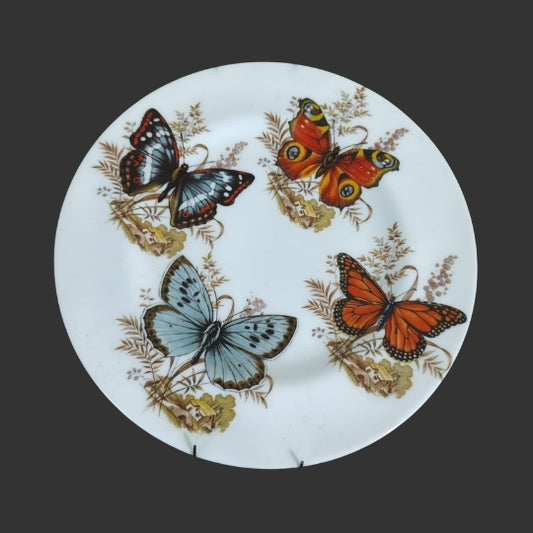 Wall hanging Plate