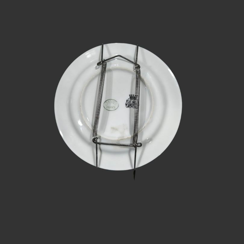 Wall Hanging Plate