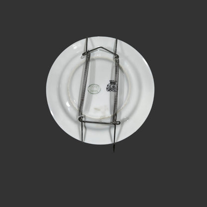 Wall Hanging Plate