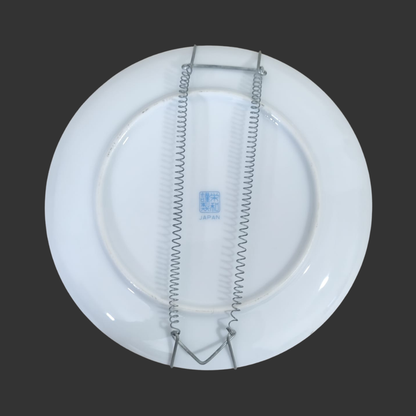 Wall Hanging Plate