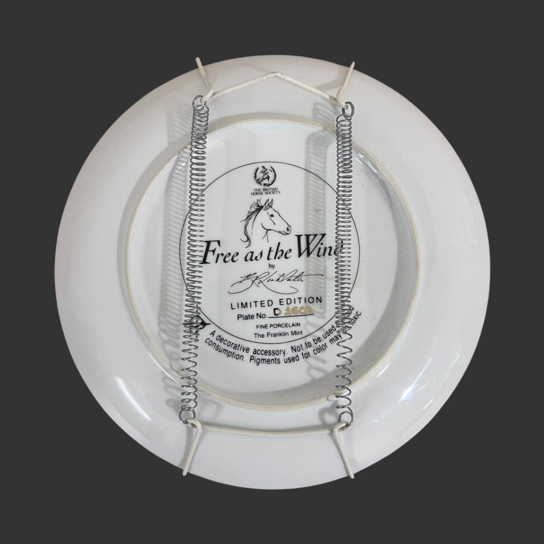 Wall Hanging Plate