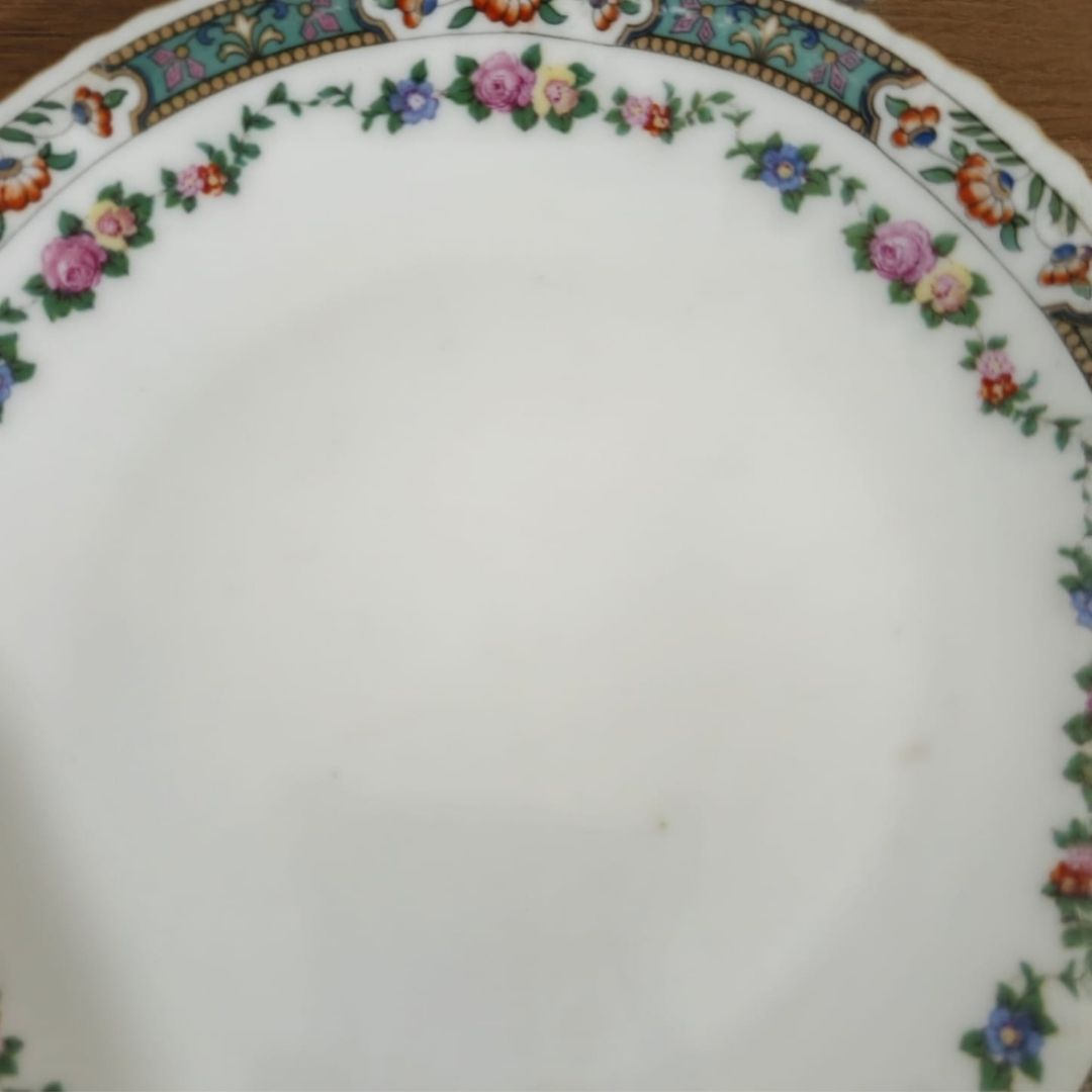 Dinner Plate