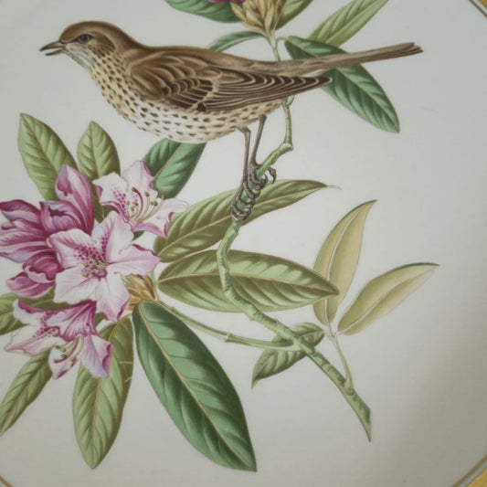 Wall Hanging Plate