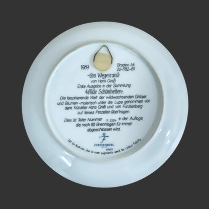 Wall Hanging Plate