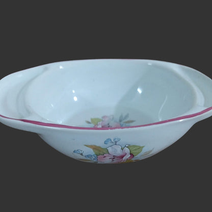 Oven to Tableware Bowl