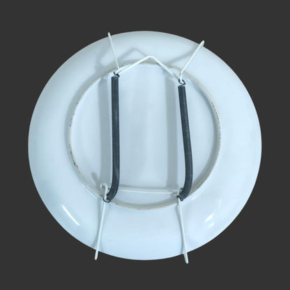 Wall Hanging Plate
