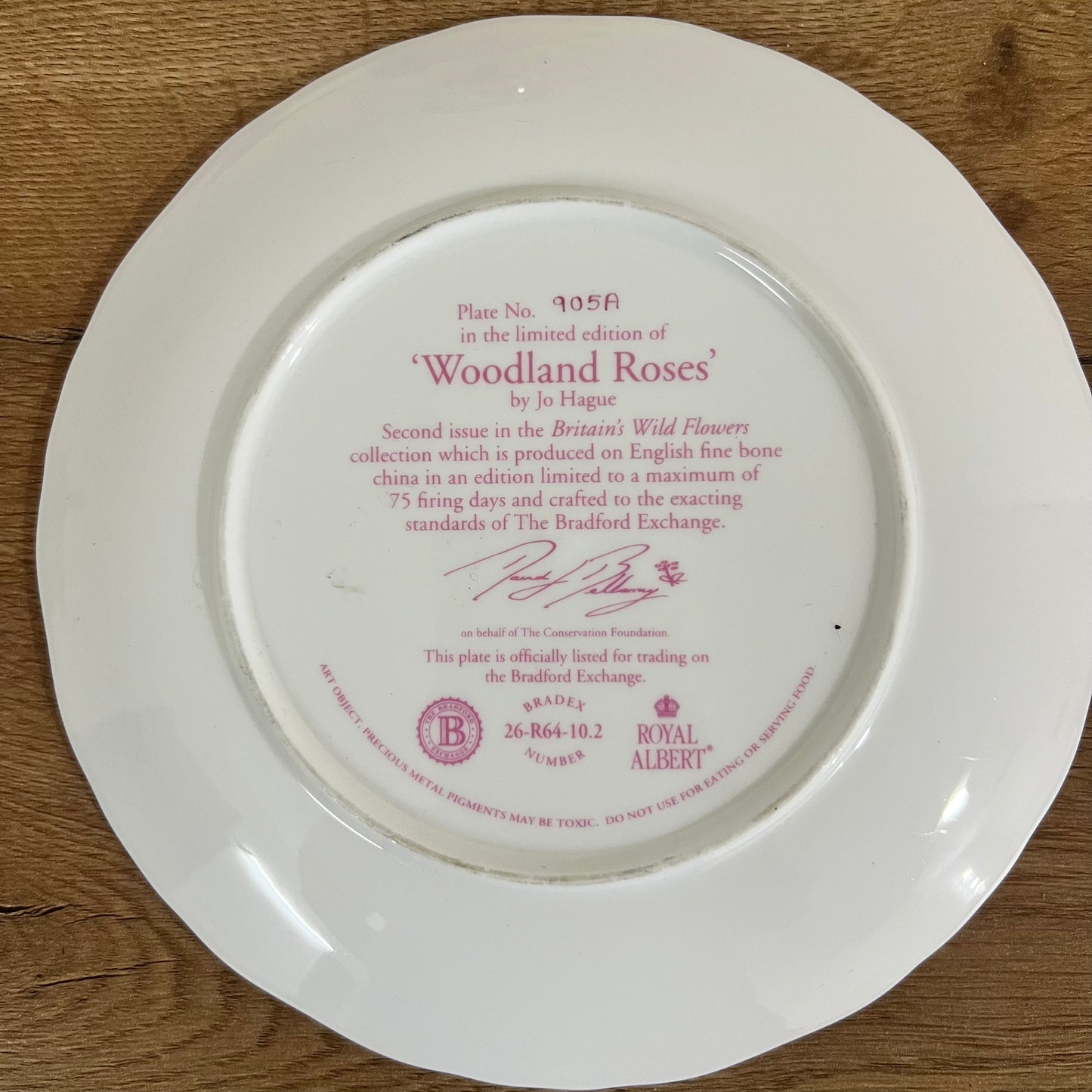Wall Hanging Plate