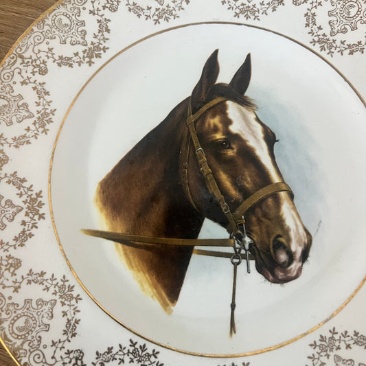 Wall Hanging Plate