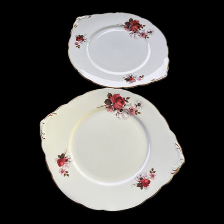 A pair of twin tabbed plates