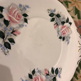 Twin tabbed plate