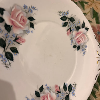 Twin tabbed plate